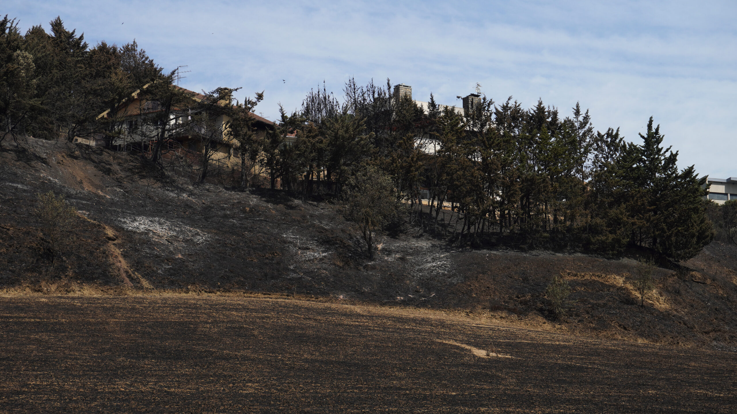 Mountain landscape after the fire